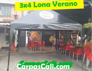 CARPA IMPERMEABLE DE 4X4 LONA VERANO